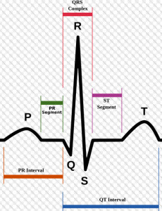 Cardiac Rhythms (reading, meds, simulator) 