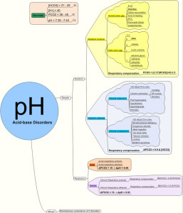 Acid Base Balance
