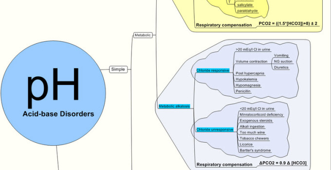 Acid Base Balance