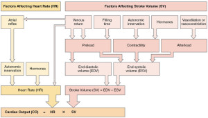 Cardiac Drugs