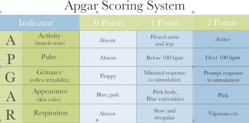 Apgar Score NCLEX