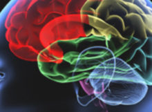 Cognitive Disorders
