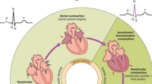 Peds Cardiac